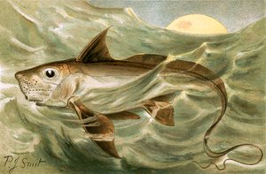 Chimera autorstwa Joseph Smit
