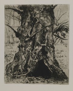 Bez tytułu - pień drzewa autorstwa Joseph Stella