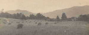 Krajobraz z drzewami i górami, ok. 1900 (zdjęcie)