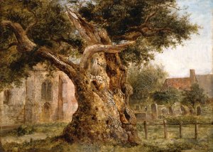 Stary dąb, 1870