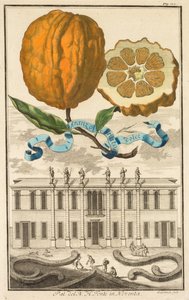 Hesperydy Nurnbergische: No185 - Sweet Striated Aranzo. Palazzo del N.H. Fonte w Noventa, c1708.