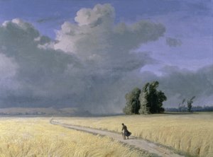 Pole kukurydzy w pobliżu Calais
