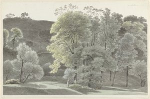 Drzewa wokół Subiaco autorstwa Josephus Augustus Knip