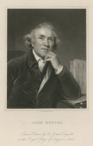 John Hunter autorstwa Joshua Reynolds