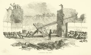 Obniżenie byka autorstwa Josiah Wood Whymper