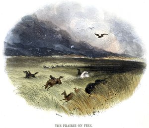 Prairie on Fire, z Zjawiska natury, 1849