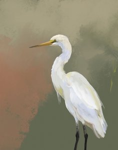 Elegancki portret czapli autorstwa Josie George