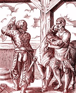 Rzeźnik - Jedzenie i gotowanie w średniowieczu. Rycina Josta Ammana (1539-1591). Grawerowanie 1878 autorstwa Jost (after) Amman