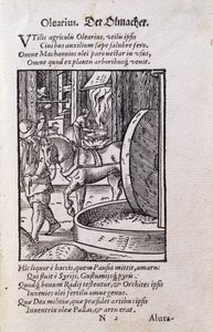 Oil Maker, ilustracja z łacińskiego wydania „De Omnibus Illiberalibus Sive Mechanics Artibus” z wierszami Hansa Sachsa (1494-1576) wyd. 1574 (drzeworyt) autorstwa Jost Amman