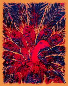 Złoty paw Bahaullaha, 2016 (zdjęcie)