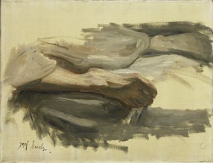 Nogi Saula