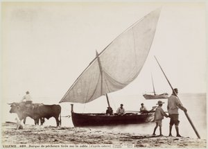 Ossen trekken vissersboot het strand op w Walencji VALENCE.- Łódka rybacka ciągnięta na piasku. (z natury) (tytuł na przedmiocie)