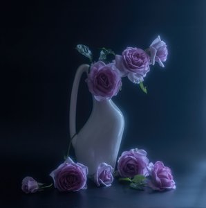  autorstwa Judy Tseng