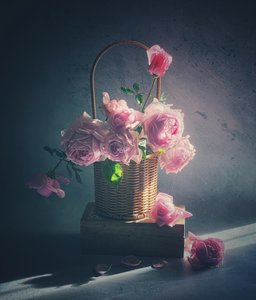  autorstwa Judy Tseng