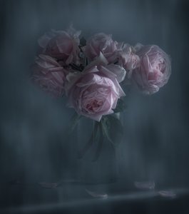  autorstwa Judy Tseng