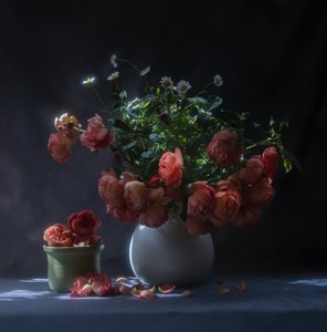 autorstwa Judy Tseng