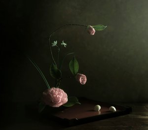 Ikebana z różową kamelią