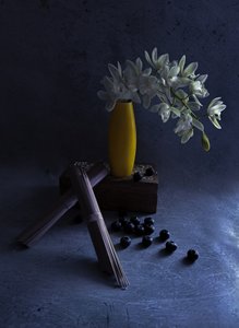  autorstwa Judy Tseng