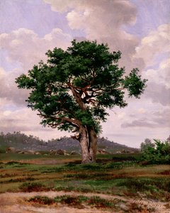 Wściekły (z temperamentem)