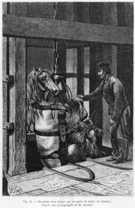 Koń wciągany w dół szybu węglowego w Le Creusot, ilustracja z „La Vie souterraine” Louisa Simonina (1830-86) 1867