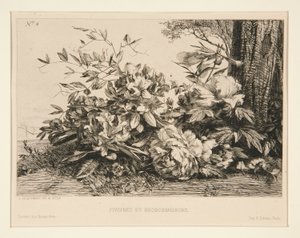 Piwonie i rododendrony autorstwa Jules Ferdinand Jacquemart