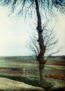 Grób z kilkoma zabitymi na poboczu drogi podczas bitwy nad Marną na wschód od Paryża, wrzesień 1914 (autochrom) autorstwa Jules Gervais Courtellemont