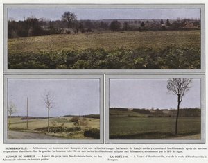 Humbeauville, okolice Sompuis, La Cote 196
