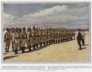Senegalscy tyralierowie