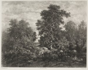 Staw według Théodore Rousseau (1812-67)