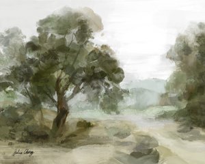 Ścieżka w Misty Valley