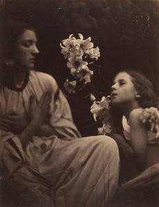 Studium, 1865-66. autorstwa Julia Margaret Cameron