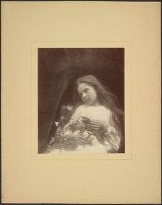 [Adeline Norman] autorstwa Julia Margaret Cameron