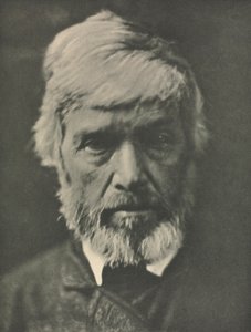 Praca kamery: Carlyle autorstwa Julia Margaret Cameron
