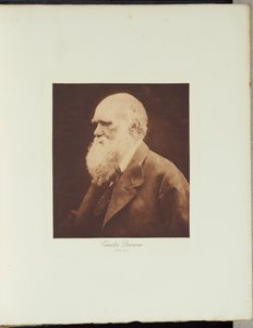  autorstwa Julia Margaret Cameron