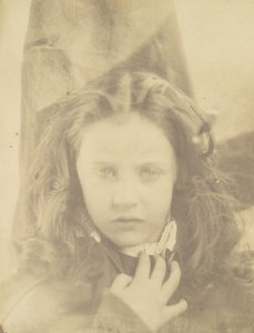 Stokrotka, 1864. autorstwa Julia Margaret Cameron