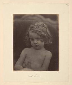 Pierwsze pomysły autorstwa Julia Margaret Cameron