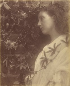 Maud "Spadła wspaniała łza z kwiatu pasji przy bramie" autorstwa Julia Margaret Cameron