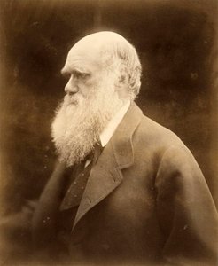 Portret Karola Darwina, 1868