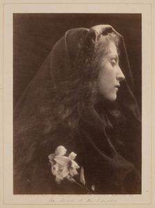  autorstwa Julia Margaret Cameron