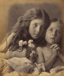 Czerwone i białe róże autorstwa Julia Margaret Cameron