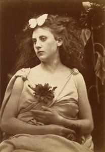 Słonecznik autorstwa Julia Margaret Cameron