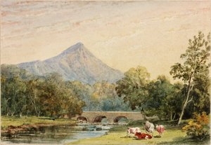 Sugarloaf Hill z Tynnahinch (wc na papierze (naklejone na kartę)) autorstwa Julia Swinburne