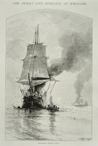 „Whalers Trying Out” (rzeźbienie wieloryba i wciąganie jego mięsa na pokład), za „Niebezpieczeństwa i romanse wielorybnictwa” w Century Magazine, sierpień 1890 (rycina)