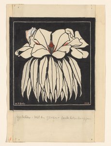 Godetia autorstwa Julie de Graag (signed by artist)