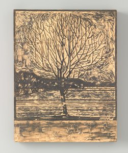 Bum na jarmuż autorstwa Julie de Graag (signed by artist)