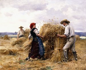 Układanie siana,