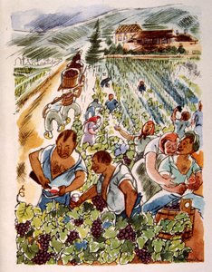 winnica francuska. 1944. Ilustracja autorstwa Juliena Pavila