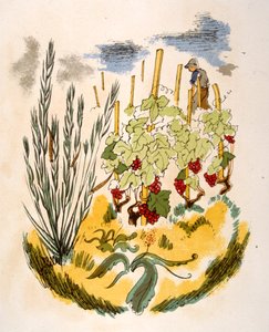 Humorous Wine Illustration 1946.Illustration autorstwa Julien Pavil