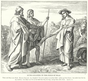Rut Gleaning na polu Boaza (rycina) autorstwa Julius (after) Schnorr von Carolsfeld