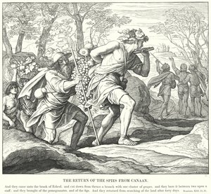 Powrót szpiegów z Kanaanu (rycina) autorstwa Julius (after) Schnorr von Carolsfeld